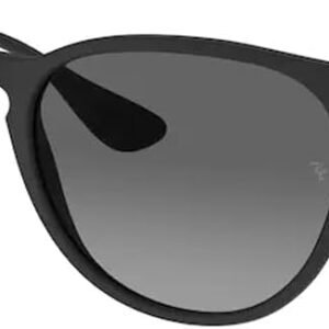 Ray-Ban RB4171 ERIKA Round Sunglasses For Women +BUNDLE with ACCESSORY EYEWEAR KIT