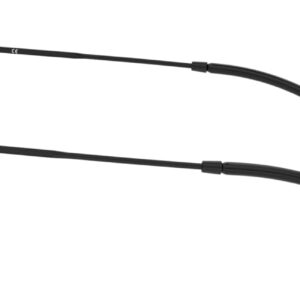 Ray-Ban RB2447 Round Sunglasses