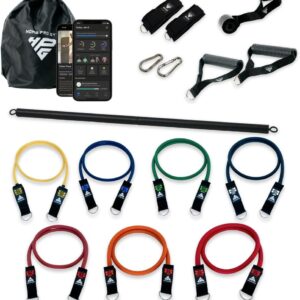 Stackable Resistance Band Set – with Up to 450LBS of Resistance, Band Bar, Premium Handles, Heavy Duty Door Anchor, Padded Ankle Straps, Digital Workout Guide