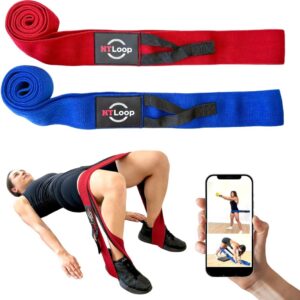 Fabric Long Loop Resistance Bands with Door Anchor and Workout Instructions – Exercises for Glutes, Legs, Chest, Muscle Building, Physical Therapy – Medium & Heavy Strength NT Loop