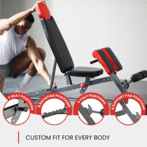 Finer Form Multi-Functional FID Weight Bench for Full All-in-One Body Workout – Hyper Back Extension, Roman Chair, Adjustable Ab Sit up Bench, Incline Decline Bench, Flat Bench