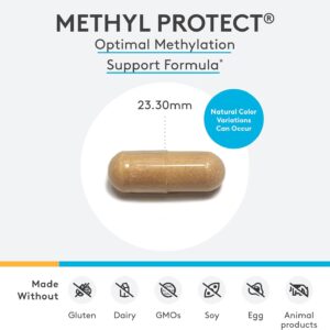 XYMOGEN Methyl Protect – Optimal Methylation Formula with Methyl Folate, Vitamin B12 (Methylcobalamin b12), Riboflavin + B6 Vitamins – Cognitive, Homocysteine + Heart Health Supplements (120 Capsules)
