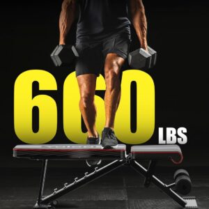 Yoleo Adjustable Weight Bench for Full Body Workout; Foldable Bench Press Bench of Home Gym Strength Training; Incline Decline Flat Utility Workout Bench with Quick Folding& Fast Adjustment (Black)