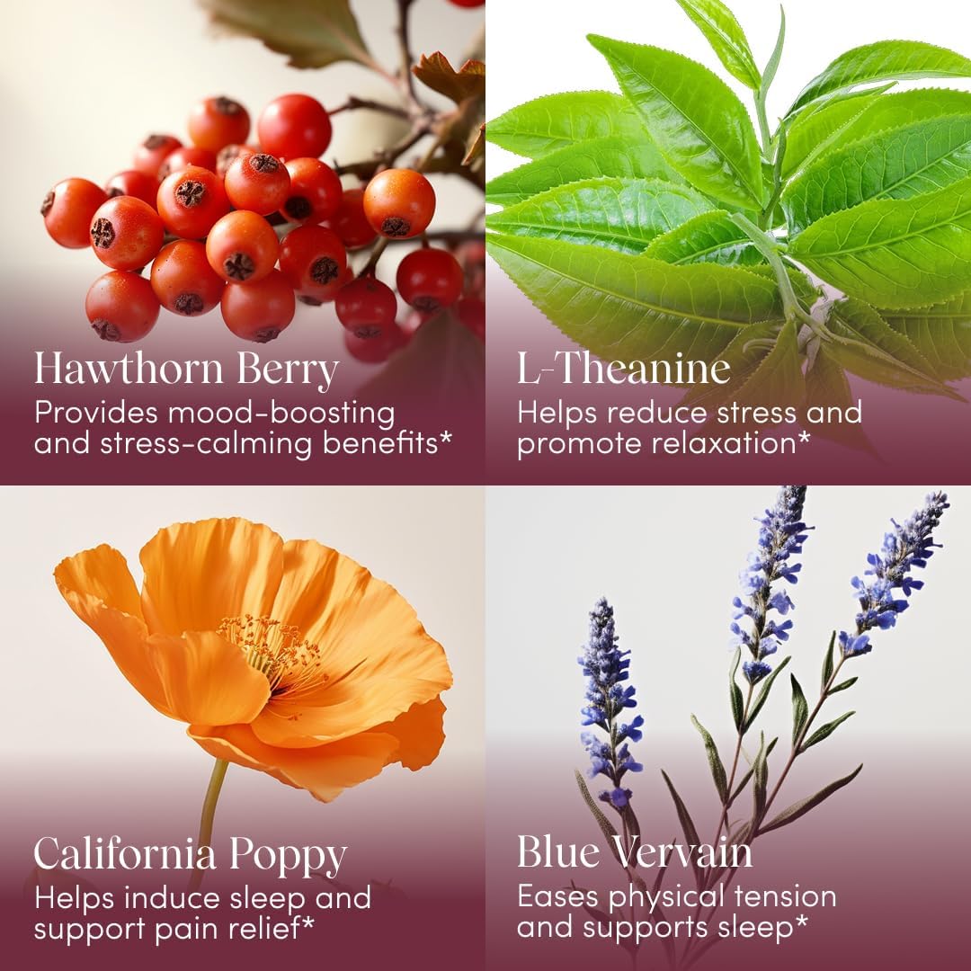 Apothékary Wine Down Herbal Supplement, Alcohol-Free Red Wine-Inspired Herbal Liquid Drops, Sugar Free, Gluten Free, Vegan- 100 Servings- 4.07oz - Image 3