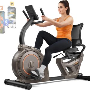 Niceday Recumbent Exercise Bike, Recumbent Bike for Home, Recumbent Stationary Bike 400LBS Weight Capacity, Magnetic Recumbent Bike with Smart APP, LCD Monitor, Heart Rate Handle