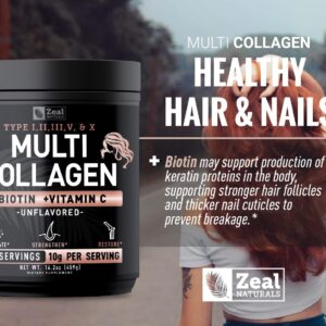 Premium Multi Collagen Peptides Protein Powder (1, 2, 3, 5 & 10) with Vitamin C, Biotin, Hyaluronic Acid, for Hair Skin and Nails – Marine, Bovine, Chicken & Eggshell (Unflavored, 45 Servings)
