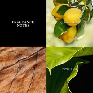 John Varvatos Men’s Cologne, Vintage Eau de Toilette EDT Spray, Aromatic Chypre Scent with Notes of Quince Paste, Patchouli & Tobacco Leaf