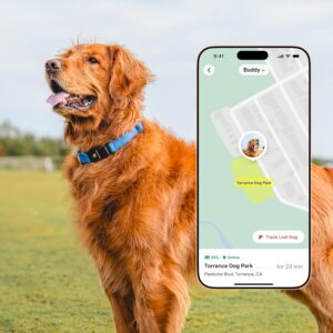 Fi Series 3+ Smart Dog Collar – GPS Dog Tracker and Activity & Fitness Monitor, Waterproof, LED Light, Escape Alerts, Nationwide Coverage [Free 6 Month Membership] (Blue, Large)