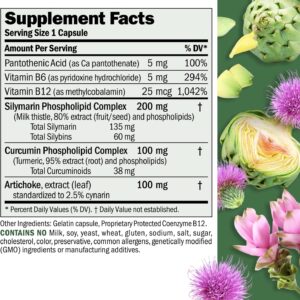 ANDREW LESSMAN Liver Anti-Oxidant Extracts 240 Capsules – Supports The Hard-Working Tissues of The Liver, Promotes Optimum Liver Health and Function. Milk Thistle, Turmeric and Artichoke Extracts