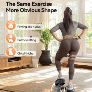 Niceday Twist Stepper for Exercise at Home, Mini Stair Stepper with Resistance Bands at Home Workout Equipment with 300LBS Loading Capacity, Hydraulic Fitness Stepper with LCD Monitor Gray