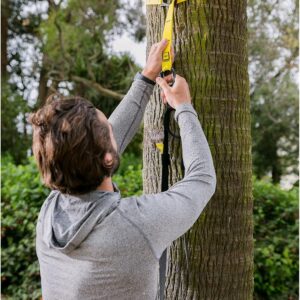 TRX GO Suspension Trainer, At Home, Portable Gym Workout, For Strength Training, Full Body Exercise Equipment