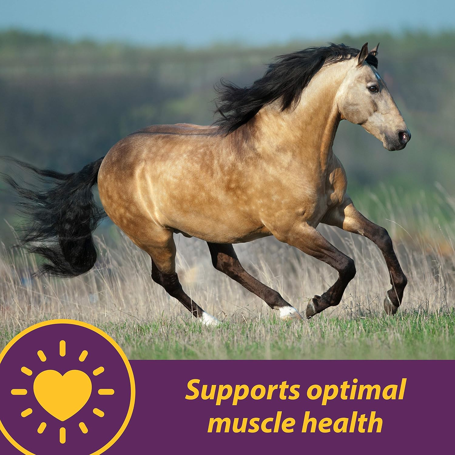 Farnam Horse Health Vita E & Selenium Crumbles Horse Vitamin Supplement, Supports optimal muscle health and antioxidant support, 20 lbs., 640 day supply - Image 2
